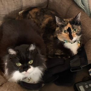 Meet your Posher, Zoey